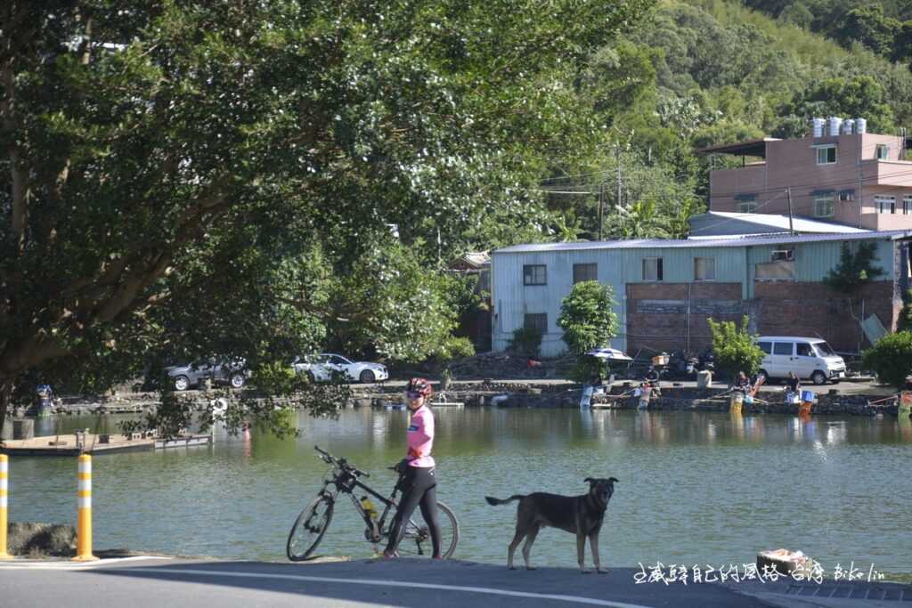 騎車人、守護犬、福德宮魚池無意間隨興組合成悠閒當下
