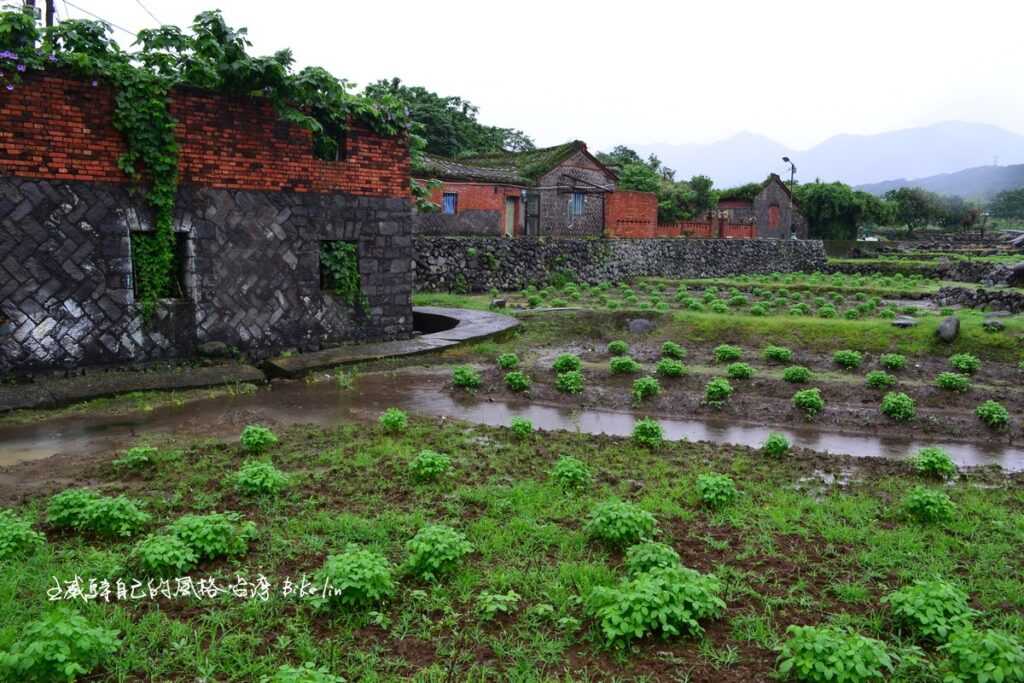 2009年首次驚艷「小中寮古厝群」