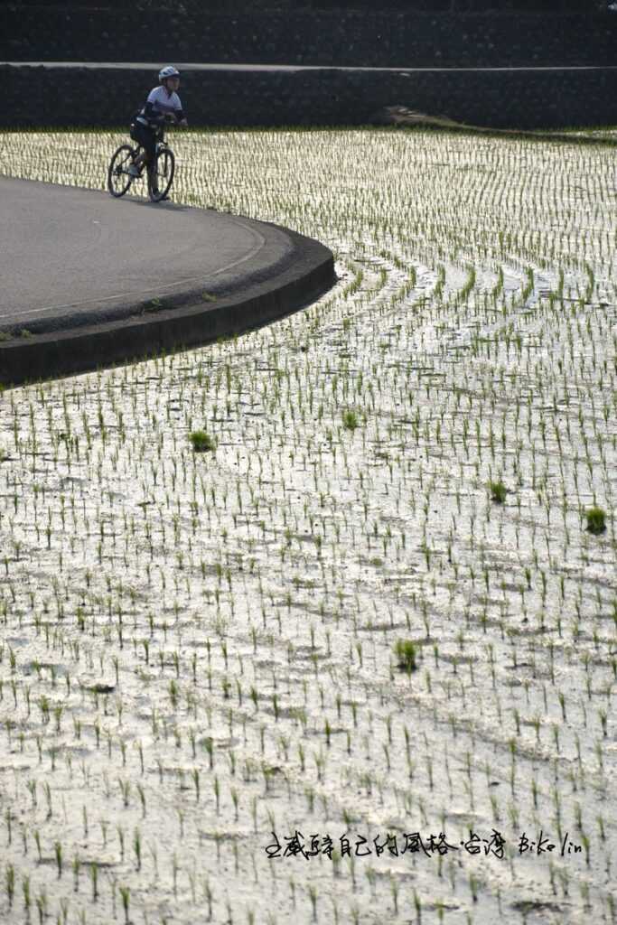 公王口水田