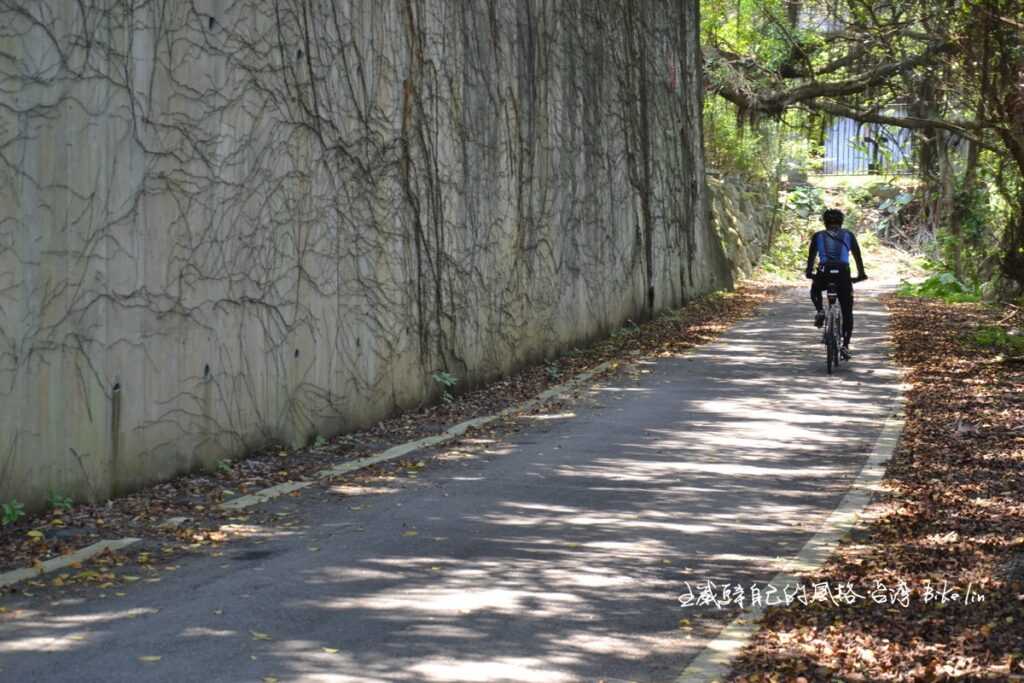 小坑路農路頂光下籠罩「夢境之幻」樹影