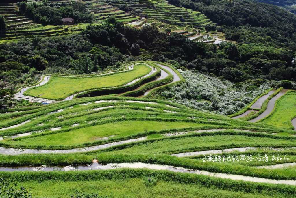 非假日恬靜的百年梯田視野最適合沉澱心靈