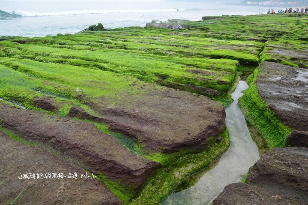 熟悉又必來朝聖「老梅綠石槽」