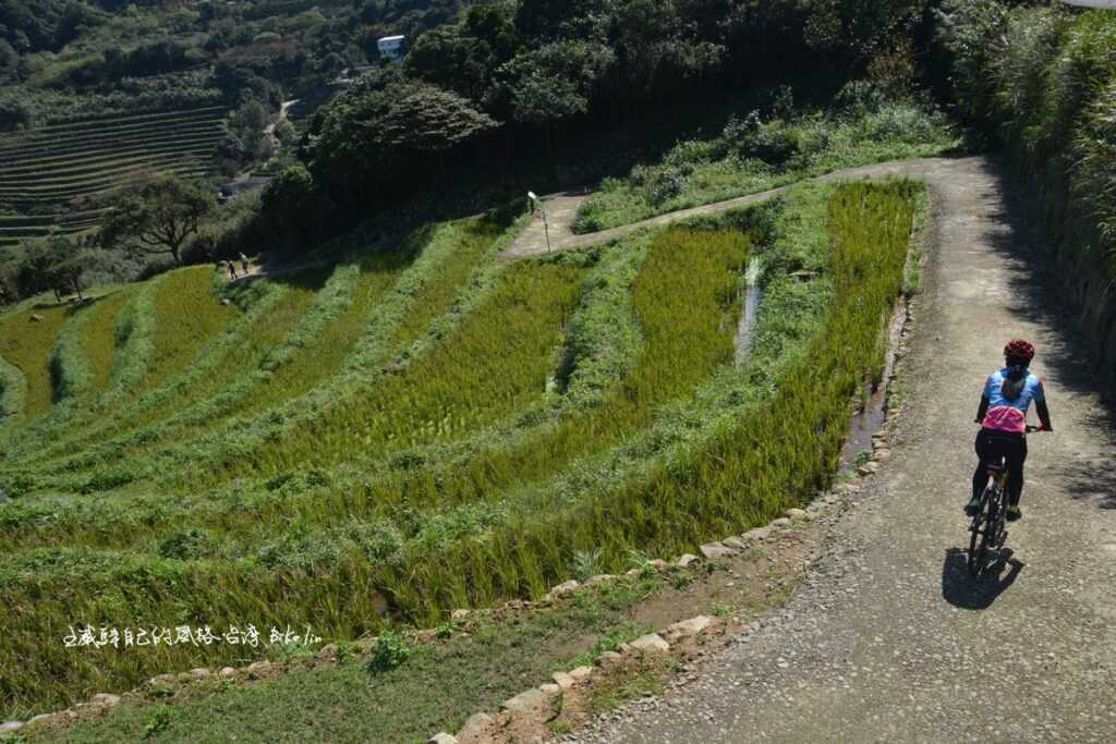 撩人心弦狂野視野