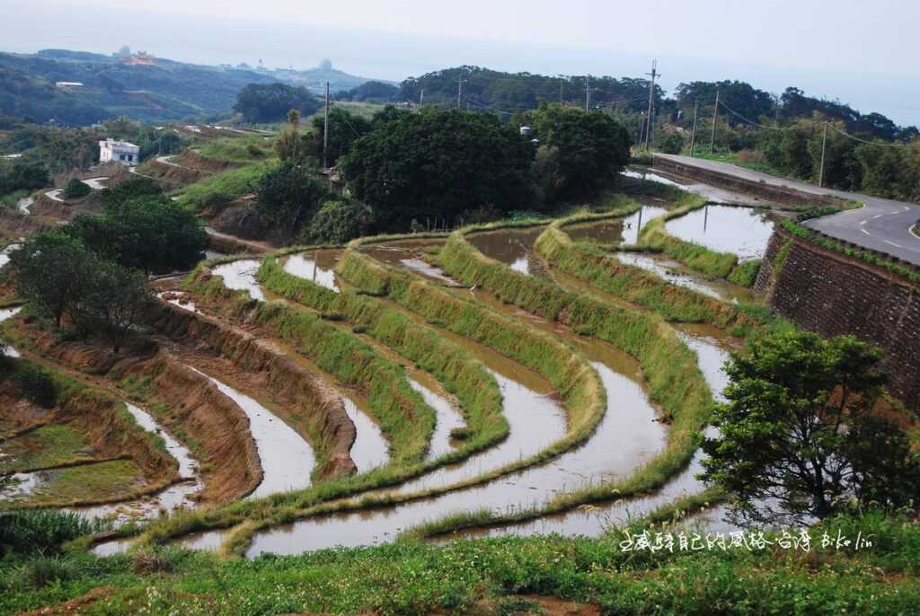 〉Tour9.三芝桐花道慢樂活環線：2009年生平第一眼發現小坑路「石門七股梯田」
