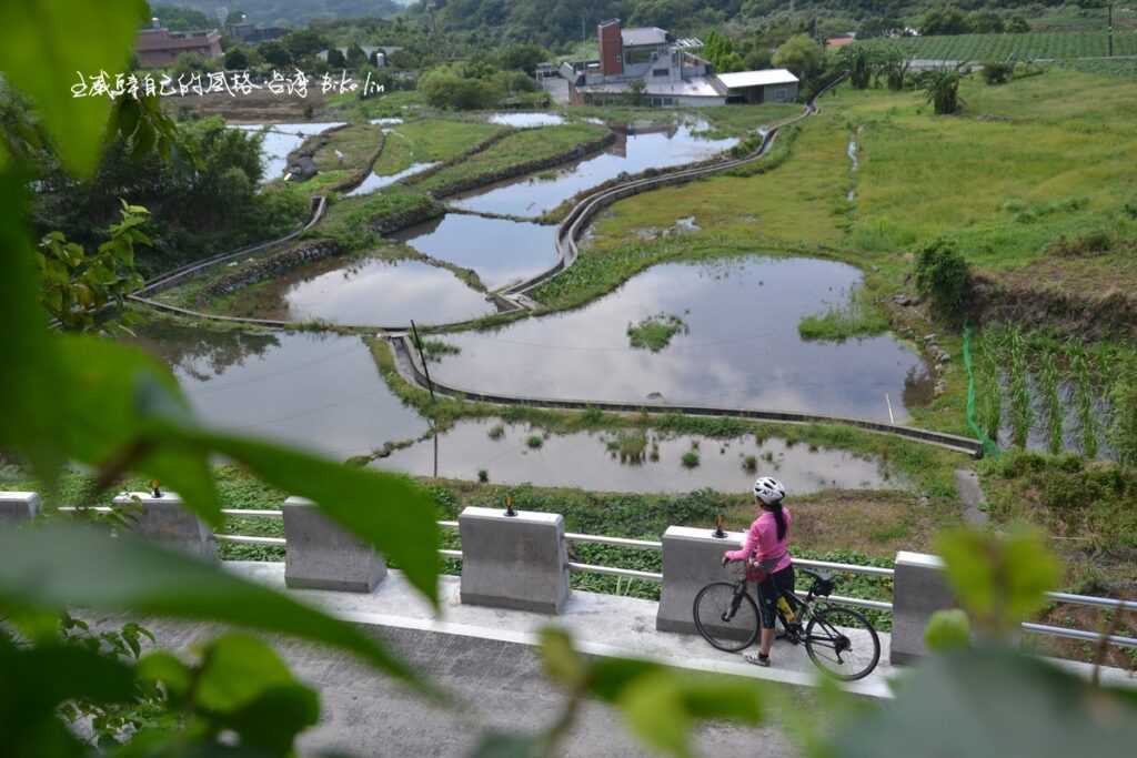 Tour13.鋸齒環線：2015年仲夏美的無法移轉視焦「竹子山古道水田」