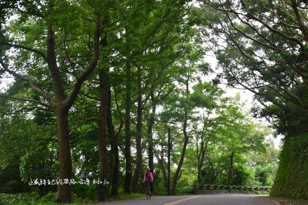 北53陡峭綠蔭「觀音山之路」