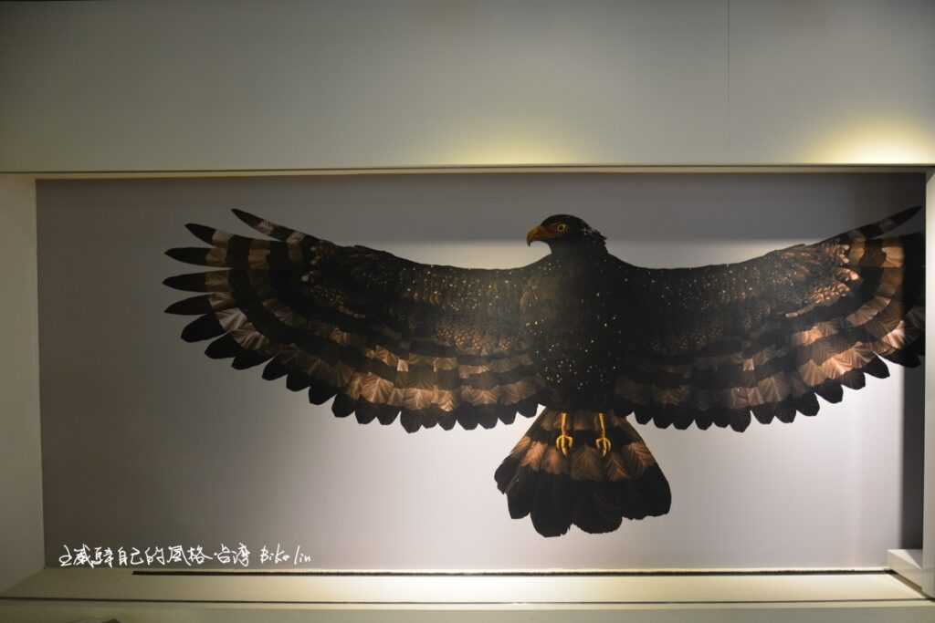 觀音山猛禽展示館