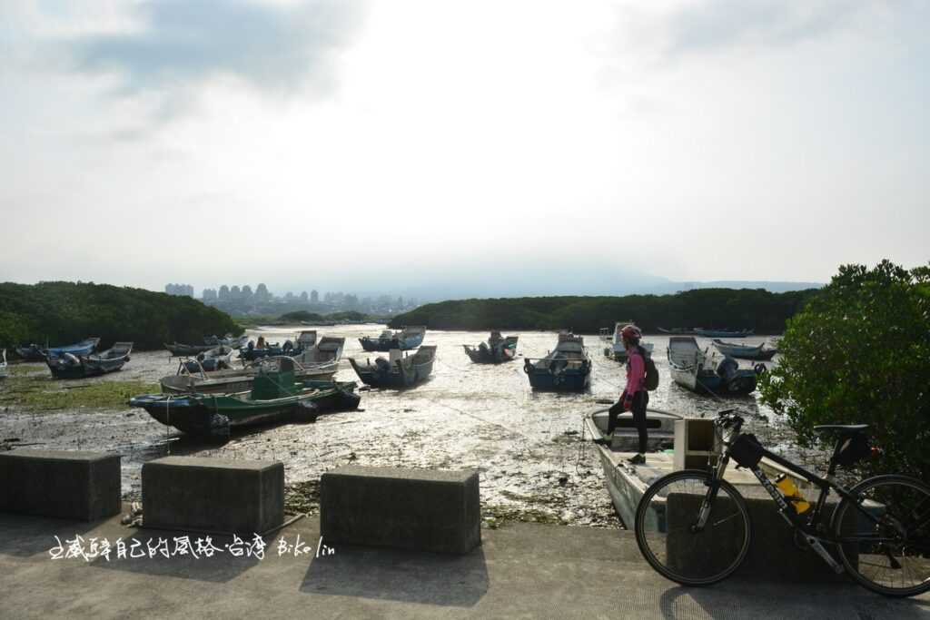挖子尾淡水河視野