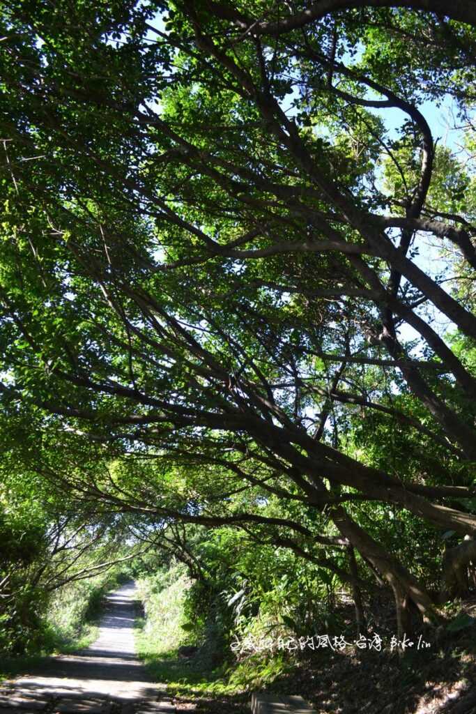 蔭涼麟山鼻海濱步道