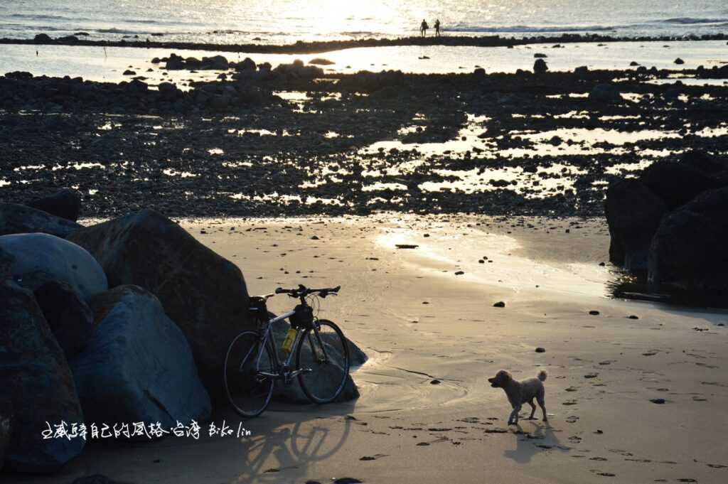 「淡水滬尾石滬」雲豹逗趣親近