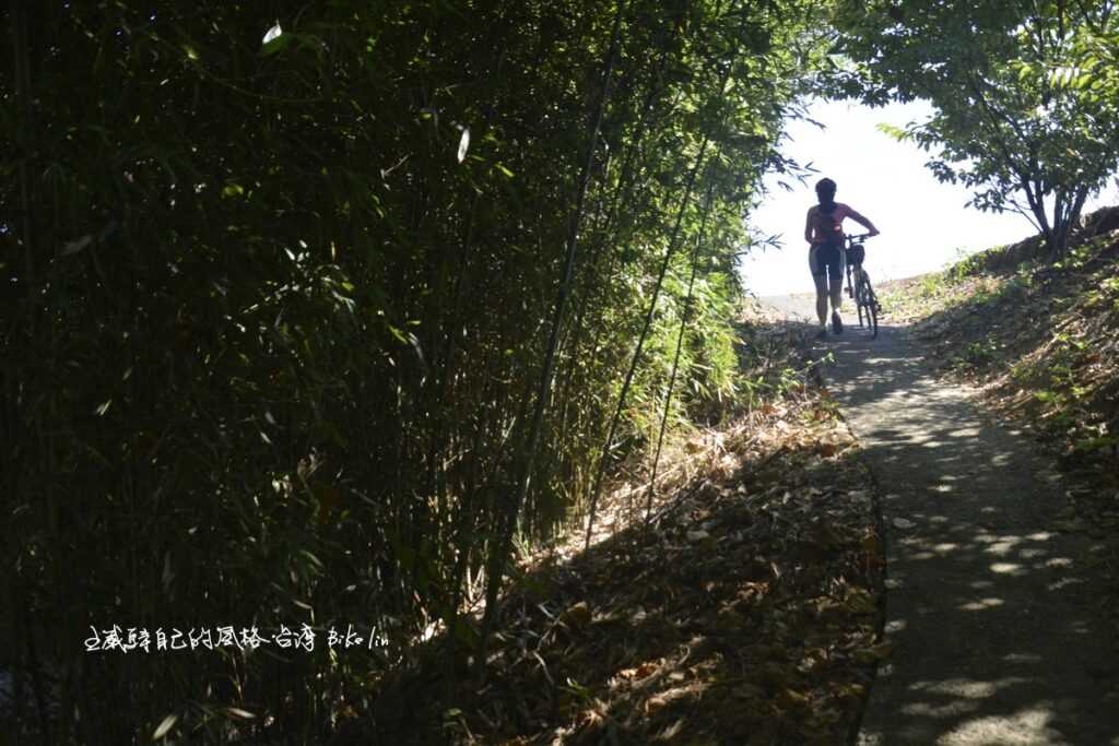 彎道竹林急短陡坡